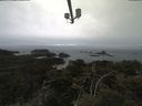 ./images/calvert/lookout/20210423/lookout20210423_091002.jpg