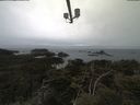 ./images/calvert/lookout/20210423/lookout20210423_092502.jpg
