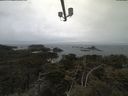 ./images/calvert/lookout/20210423/lookout20210423_101501.jpg