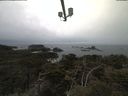 ./images/calvert/lookout/20210423/lookout20210423_105001.jpg