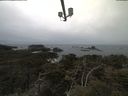 ./images/calvert/lookout/20210423/lookout20210423_110501.jpg
