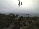 ./images/calvert/lookout/20210423/lookout20210423_111502.jpg