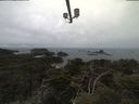./images/calvert/lookout/20210423/lookout20210423_112502.jpg