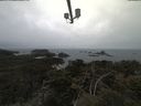 ./images/calvert/lookout/20210423/lookout20210423_114002.jpg