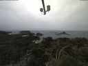 ./images/calvert/lookout/20210423/lookout20210423_114501.jpg