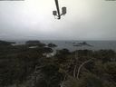 ./images/calvert/lookout/20210423/lookout20210423_120501.jpg