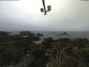./images/calvert/lookout/20210423/lookout20210423_121501.jpg