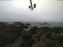 ./images/calvert/lookout/20210423/lookout20210423_122501.jpg