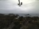 ./images/calvert/lookout/20210423/lookout20210423_133501.jpg