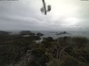 ./images/calvert/lookout/20210423/lookout20210423_135501.jpg