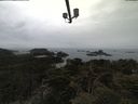 ./images/calvert/lookout/20210423/lookout20210423_151502.jpg