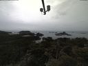./images/calvert/lookout/20210423/lookout20210423_154501.jpg