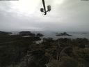./images/calvert/lookout/20210423/lookout20210423_155501.jpg