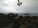 ./images/calvert/lookout/20210423/lookout20210423_161501.jpg