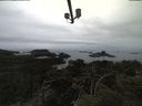 ./images/calvert/lookout/20210423/lookout20210423_172002.jpg