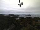 ./images/calvert/lookout/20210424/lookout20210424_061502.jpg