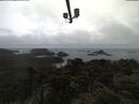 ./images/calvert/lookout/20210424/lookout20210424_082502.jpg