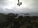 ./images/calvert/lookout/20210424/lookout20210424_084501.jpg