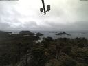 ./images/calvert/lookout/20210424/lookout20210424_085501.jpg