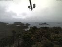 ./images/calvert/lookout/20210424/lookout20210424_090501.jpg