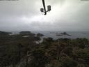 ./images/calvert/lookout/20210424/lookout20210424_091501.jpg