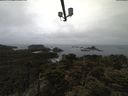 ./images/calvert/lookout/20210424/lookout20210424_092001.jpg