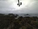 ./images/calvert/lookout/20210424/lookout20210424_092501.jpg