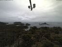 ./images/calvert/lookout/20210424/lookout20210424_094502.jpg
