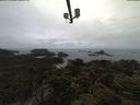 ./images/calvert/lookout/20210424/lookout20210424_095002.jpg