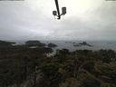./images/calvert/lookout/20210424/lookout20210424_095502.jpg