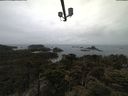 ./images/calvert/lookout/20210424/lookout20210424_101502.jpg