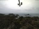 ./images/calvert/lookout/20210424/lookout20210424_103501.jpg