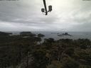 ./images/calvert/lookout/20210424/lookout20210424_112501.jpg