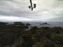./images/calvert/lookout/20210424/lookout20210424_113502.jpg