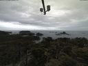 ./images/calvert/lookout/20210424/lookout20210424_115002.jpg