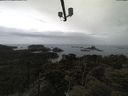 ./images/calvert/lookout/20210424/lookout20210424_133502.jpg