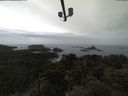 ./images/calvert/lookout/20210424/lookout20210424_134002.jpg