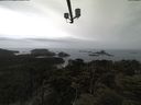 ./images/calvert/lookout/20210424/lookout20210424_134502.jpg