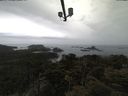 ./images/calvert/lookout/20210424/lookout20210424_135502.jpg