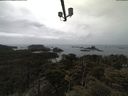 ./images/calvert/lookout/20210424/lookout20210424_141501.jpg