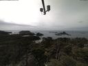 ./images/calvert/lookout/20210424/lookout20210424_144501.jpg