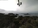 ./images/calvert/lookout/20210424/lookout20210424_145501.jpg