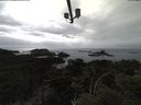 ./images/calvert/lookout/20210424/lookout20210424_155502.jpg