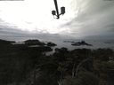 ./images/calvert/lookout/20210424/lookout20210424_164001.jpg