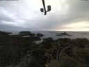./images/calvert/lookout/20210424/lookout20210424_200501.jpg