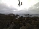 ./images/calvert/lookout/20210425/lookout20210425_061501.jpg