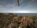 ./images/calvert/lookout/20210425/lookout20210425_095001.jpg