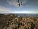 ./images/calvert/lookout/20210425/lookout20210425_101501.jpg