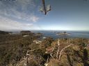 ./images/calvert/lookout/20210425/lookout20210425_104002.jpg