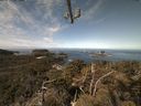 ./images/calvert/lookout/20210425/lookout20210425_105002.jpg